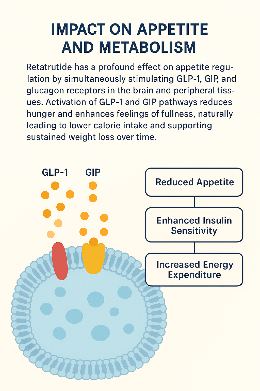 Retatrutide weight loss