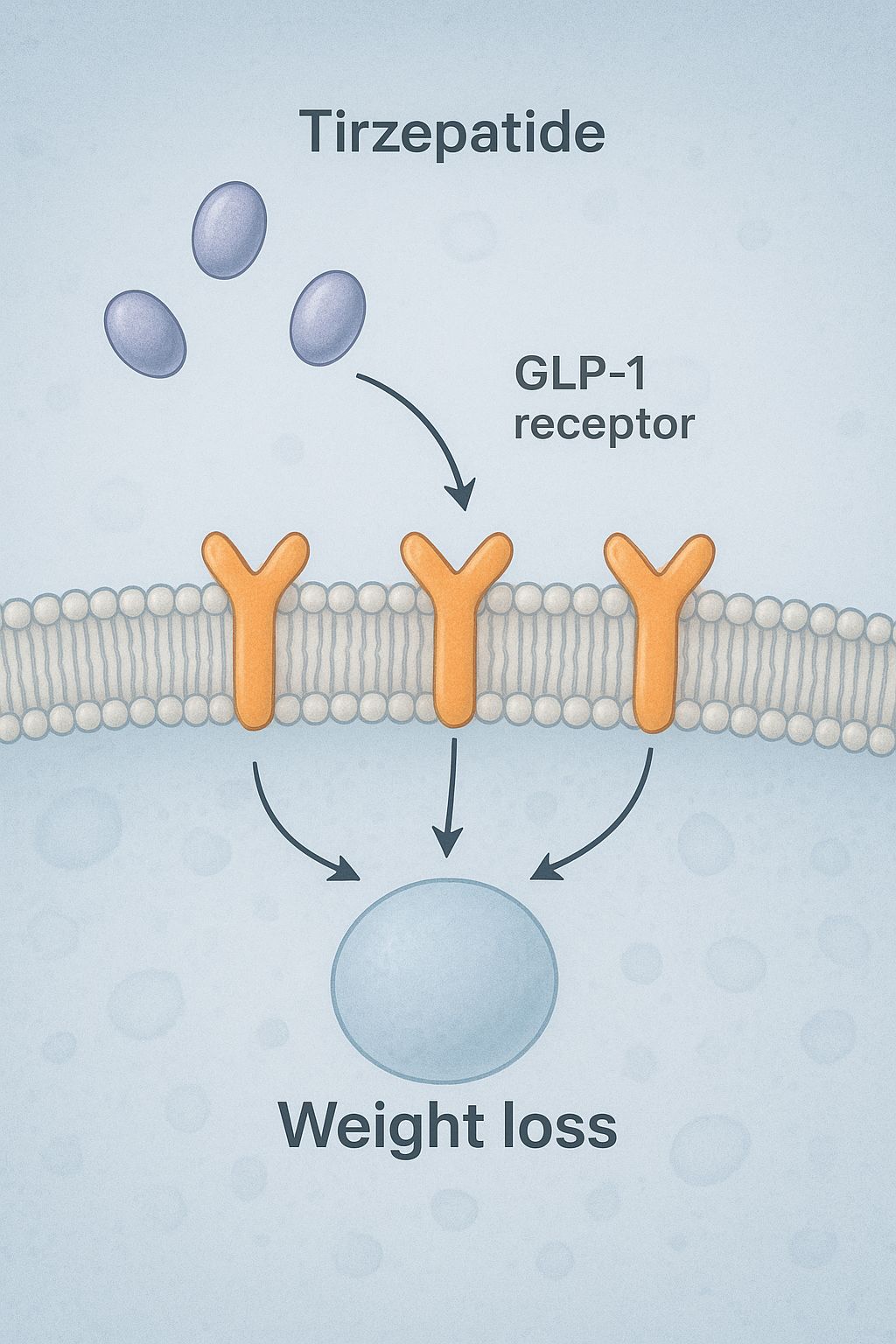 Tirzepatide and weight loss